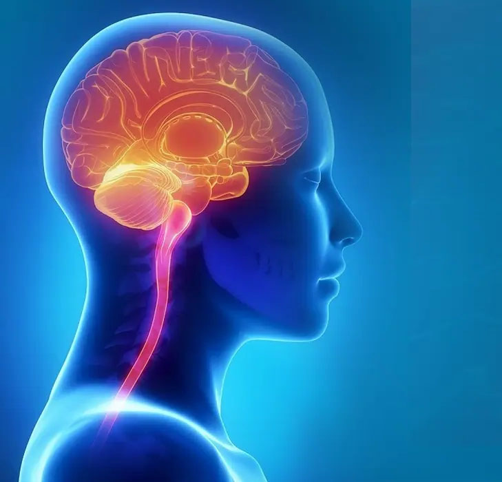 Neurosurgery Image gallery marquee